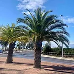 The Olivia * Moncófar